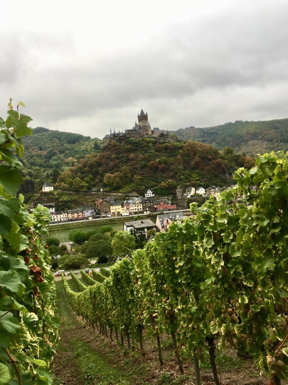 Ferienwohnung Mosel Valwig Exterior foto