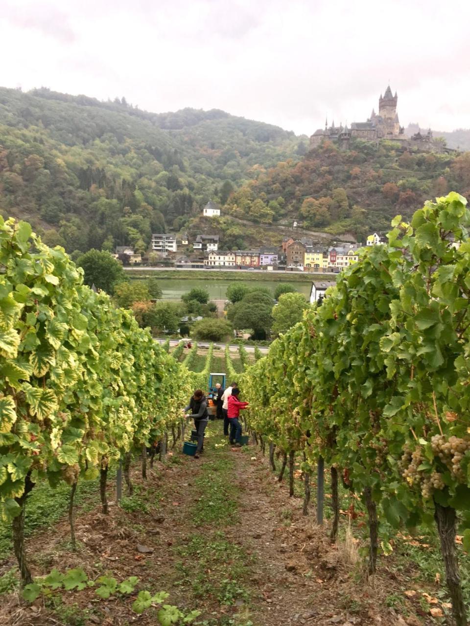 Ferienwohnung Mosel Valwig Exterior foto